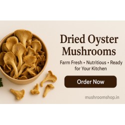Dried Mushroom - Oyster